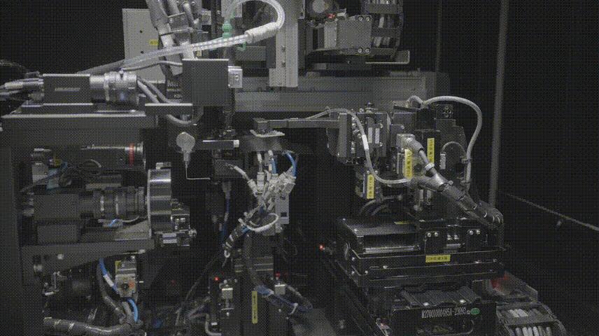 4.gif