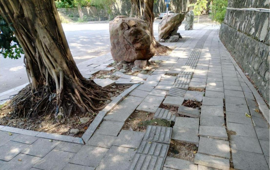 5e354a09c14dafdd2c28865c0f8697c7.png 5e354a09c14dafdd2c28865c0f8697c7.png