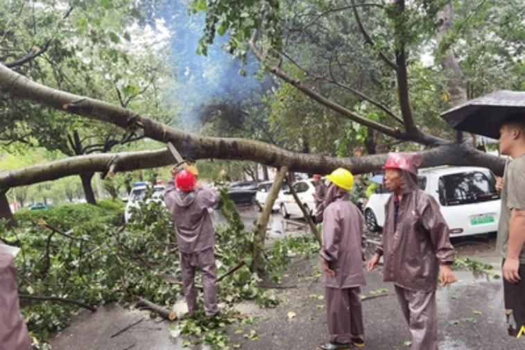 e0bb4572b46341f6f511f6f5b53f7770.png e0bb4572b46341f6f511f6f5b53f7770.png