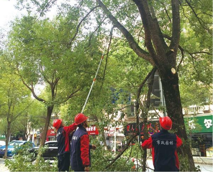 bec168872330ad46b84f014bb2465102.png bec168872330ad46b84f014bb2465102.png